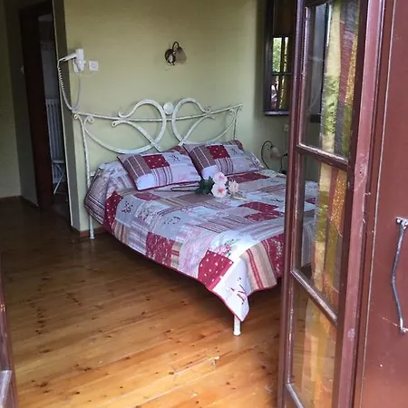 Guest house Alchemist 3*