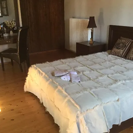 Guest house Alchemist 3*