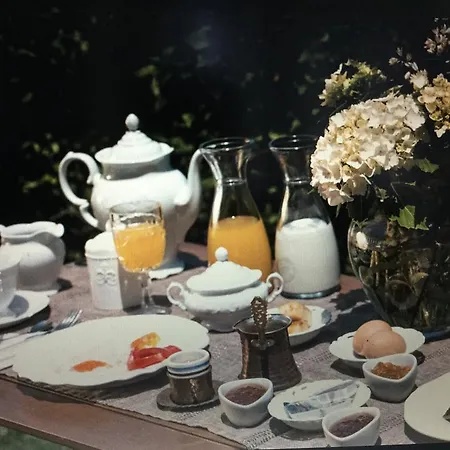 Alchemist Guest house
